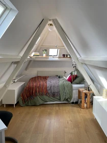 Stanza in affitto in appartamento condiviso a Leiden