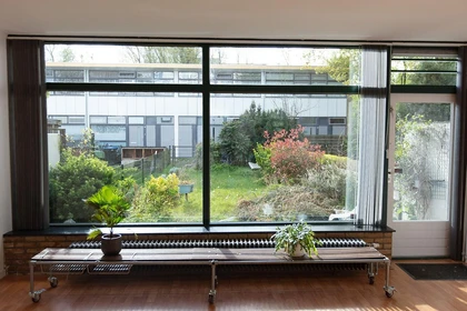 Habitación en alquiler con cama doble Leeuwarden