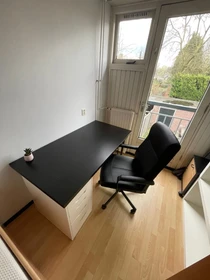 Pokój do wynajęcia we wspólnym mieszkaniu w Eindhoven