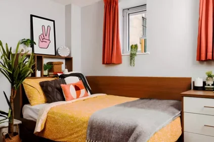 Quarto privado em 41 Holyrood Road, EH8 8FF, imagem 22 de 23