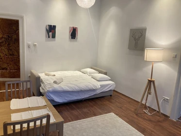 Alquiler de habitaciones por meses en Viena
