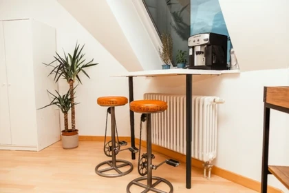 Entire fully furnished flat in Berlin