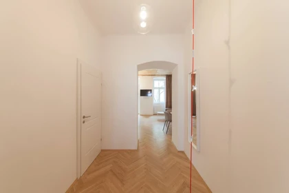 Entire fully furnished flat in Vienna
