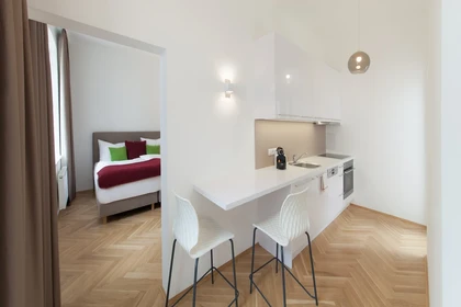 Appartamento completamente ristrutturato a Vienna
