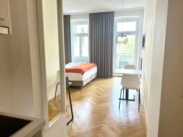 Appartamento in centro a Vienna