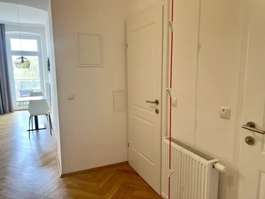 Appartamento in centro a Vienna