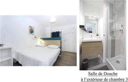 Stanza in affitto in appartamento condiviso a Rennes