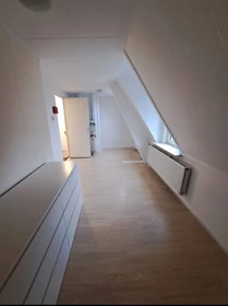 Alquiler de habitación en piso compartido en Leeuwarden