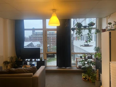 Rotterdam içinde aydınlık özel oda