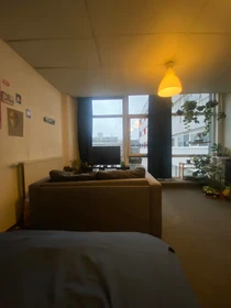 Rotterdam içinde aydınlık özel oda
