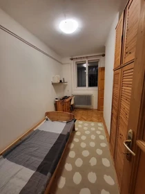 Centralnie położone mieszkanie w Budapeszt