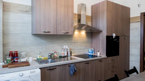 Quarto privado em Viale Renato Serra, imagem 14 de 29