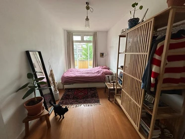 Stanza in affitto in appartamento condiviso a Amsterdam