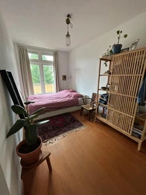 Stanza in affitto in appartamento condiviso a Amsterdam