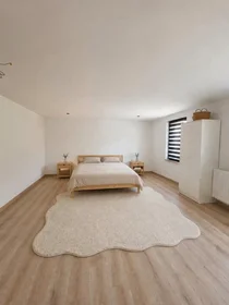 Quarto privado em Rue du Quesnoy, Trivières, imagem 1 de 10