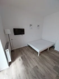 Appartamento intero in Neckarstraße, Ost, immagine 1 di 10