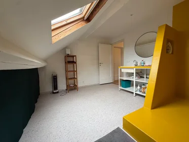 Habitación privada en August van Geertstraat, Sint-Amandsberg, imagen 9 de 10