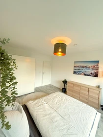 Bright private room in Braunschweig