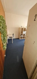 Chambre à louer dans un appartement en colocation à Utrecht