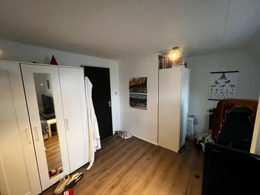 Room for rent with double bed Delft