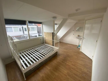 Alquiler de habitaciones por meses en Leeuwarden