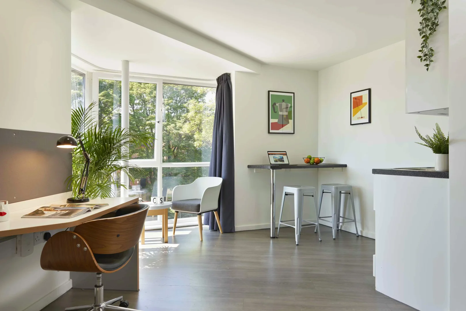 Affordable room for students with ample lighting in
