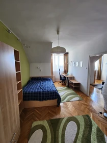 Appartamento in centro a Budapest