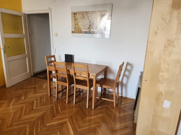 Appartamento in centro a Budapest
