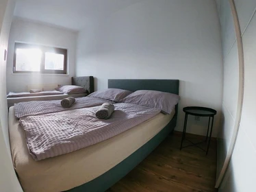 Room for rent in a shared flat in Vienna