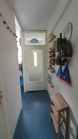 Room for rent in a shared flat in Delft