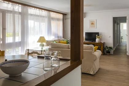 Accommodation with 3 bedrooms in Seville
