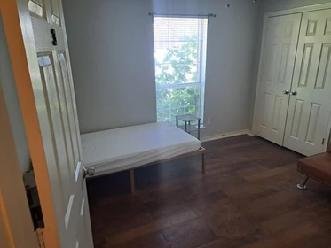 Room for rent in a shared flat in Fort-worth