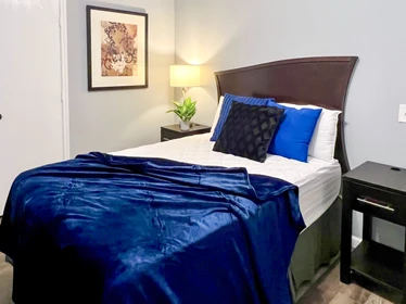 Quarto para alugar num apartamento partilhado em Austin