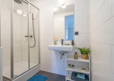 Renting rooms by the month in The Hague
