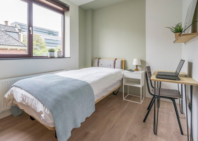 Zimmer mit Doppelbett zu vermieten Den Haag