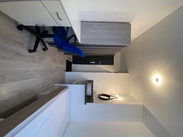 Private room at Lille, 59800, image 1 of 10