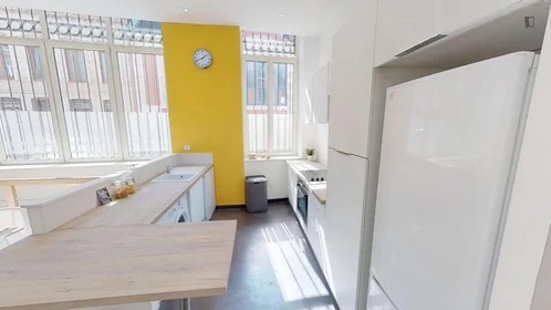 Chambre privée à rue de Wazemmes, image 10 de 14