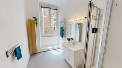 Privatzimmer in der 13 Rue de Peyras, 31000 Toulouse, bild 13 von 20