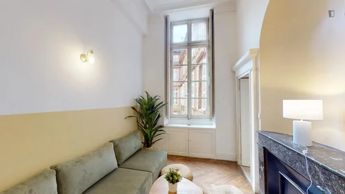 Özel oda konumu 13 Rue de Peyras, 31000 Toulouse, 4 20 görüntüsü