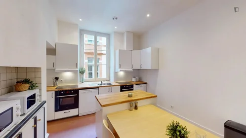 Özel oda konumu 13 Rue de Peyras, 31000 Toulouse, 7 20 görüntüsü