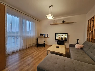 Appartement entièrement meublé à Brno