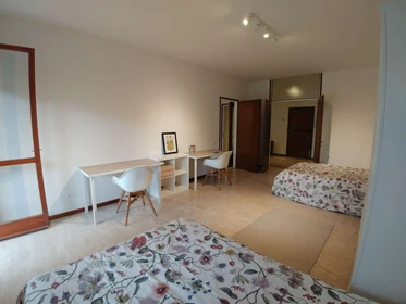 Room for rent in a shared flat in Padova