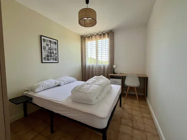 Chambre privée à Aix-en-provence, 13090, image 6 de 17