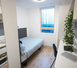 Cheap private room in Exeter