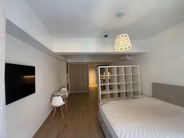 Appartamento intero in Kefallinias, Athens, immagine 1 di 10