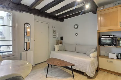 Entire apartment at Rue Saint-Martin, 4th Arrondissement, image 1 of 10