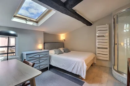 Entire apartment at Rue Saint-Martin, 4th Arrondissement, image 2 of 10