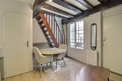 Entire apartment at Rue Saint-Martin, 4th Arrondissement, image 4 of 10