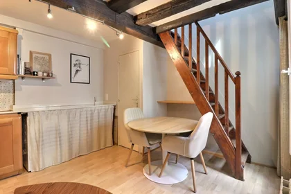 Entire apartment at Rue Saint-Martin, 4th Arrondissement, image 5 of 10