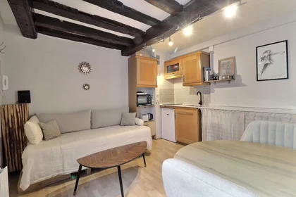 Entire apartment at Rue Saint-Martin, 4th Arrondissement, image 6 of 10